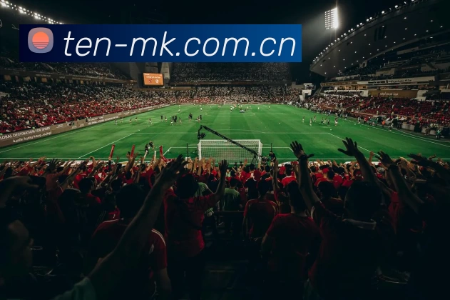 MK体育APP 封面图